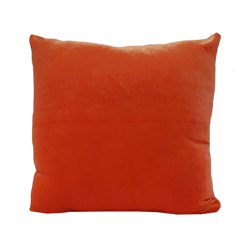 orange velvet pillow